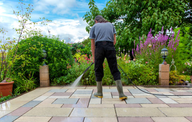 Best Driveway Cleaning and Restoration in Beechwood Trails, OH